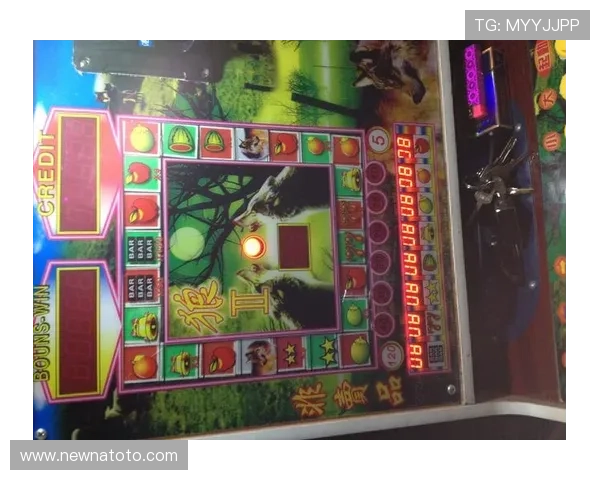 老虎机地址登录入口汇总，轻松找到你喜欢的游戏网站