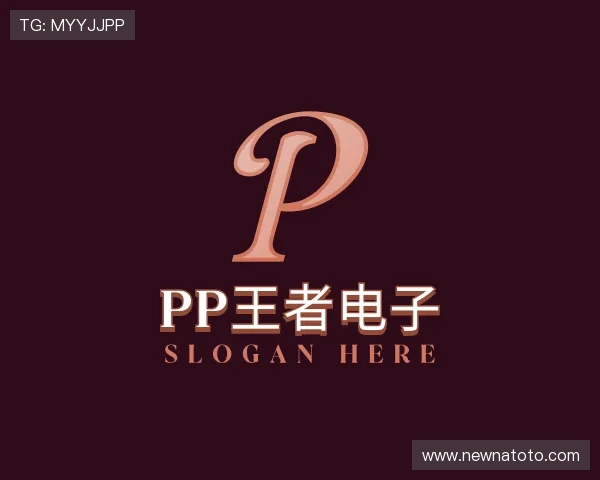 发现PP王者电子